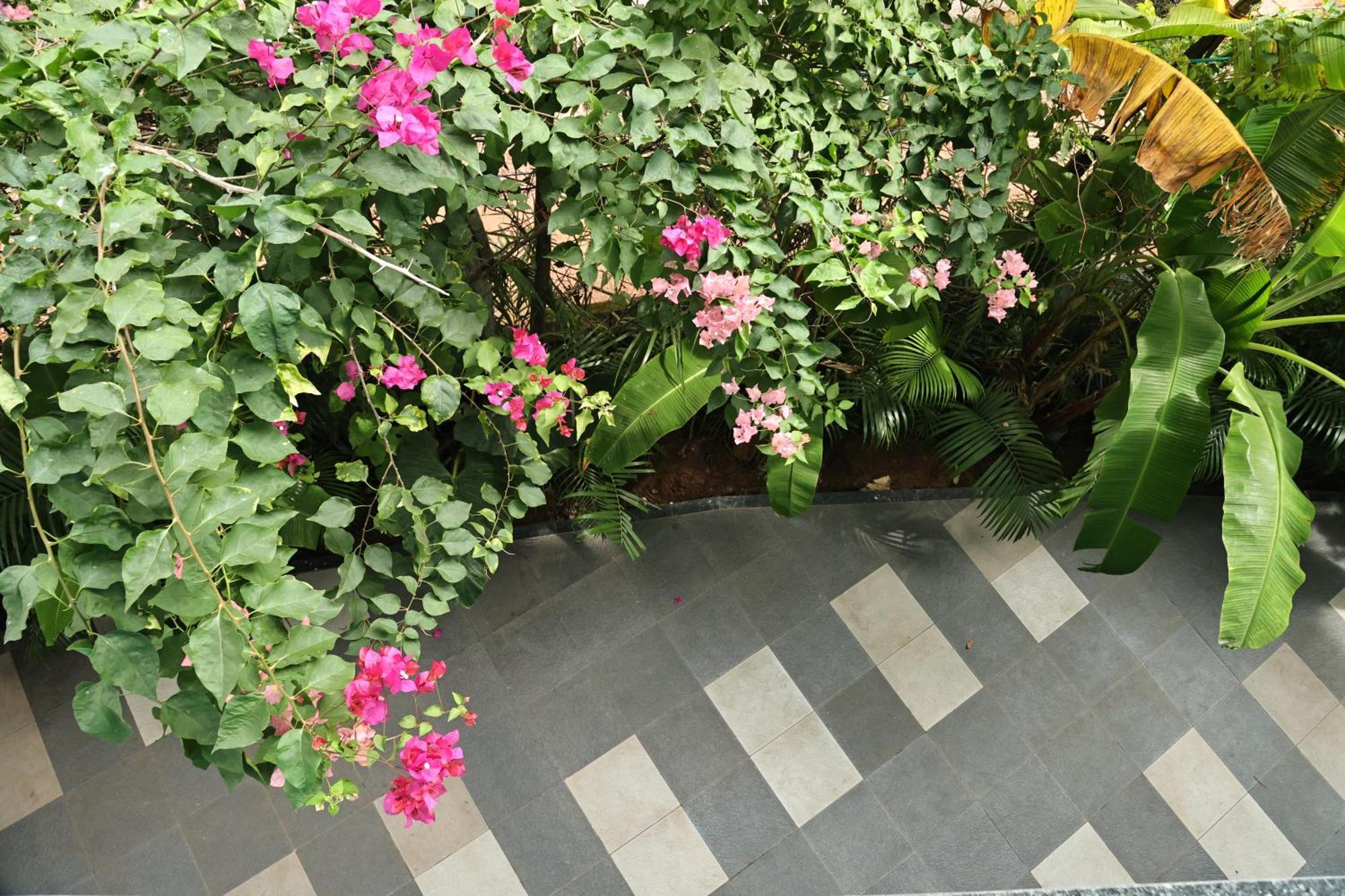 Fusion Home Anjuna Exterior photo
